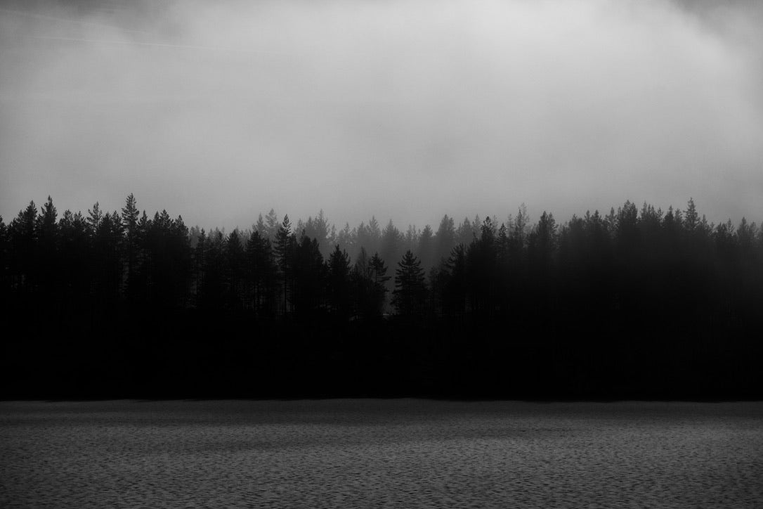 "Troll Forest"