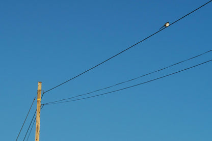 "Crow"