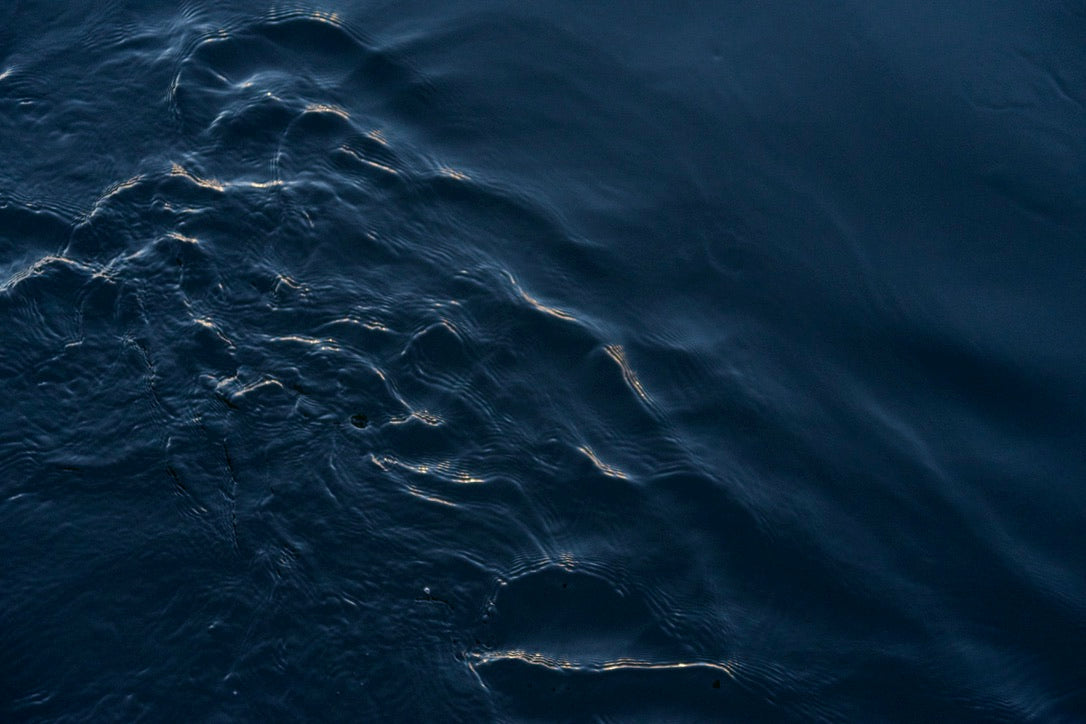"Vortex"