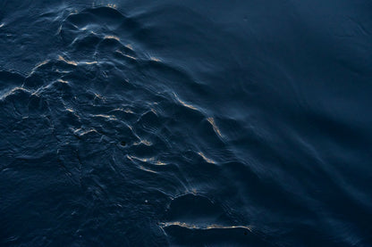 "Vortex"