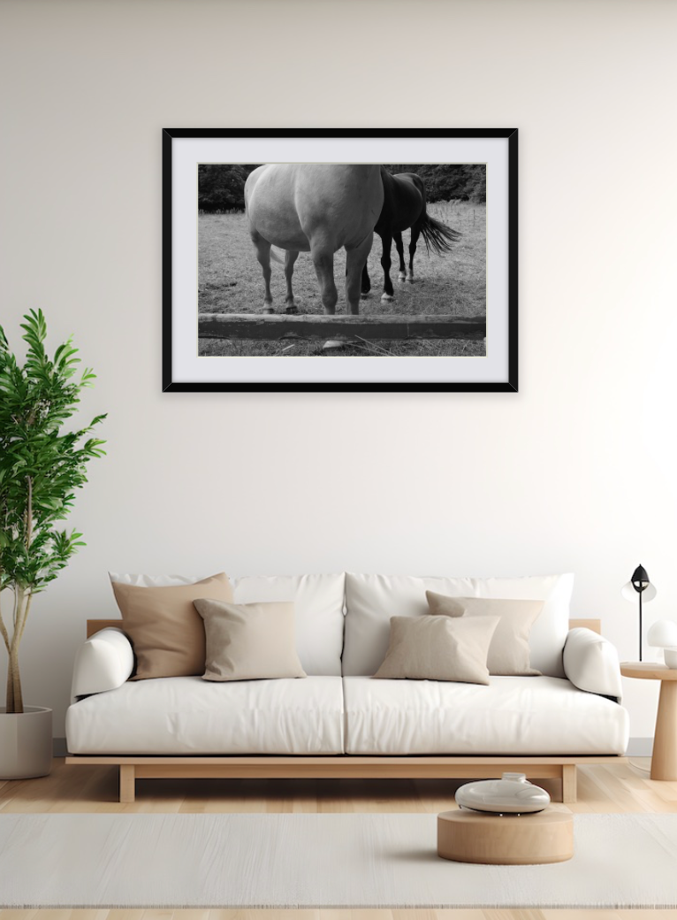 "Horses v2"