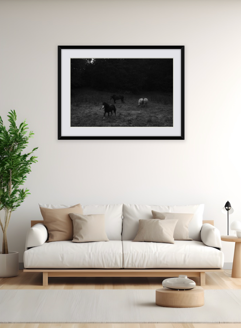 "Horses v1"